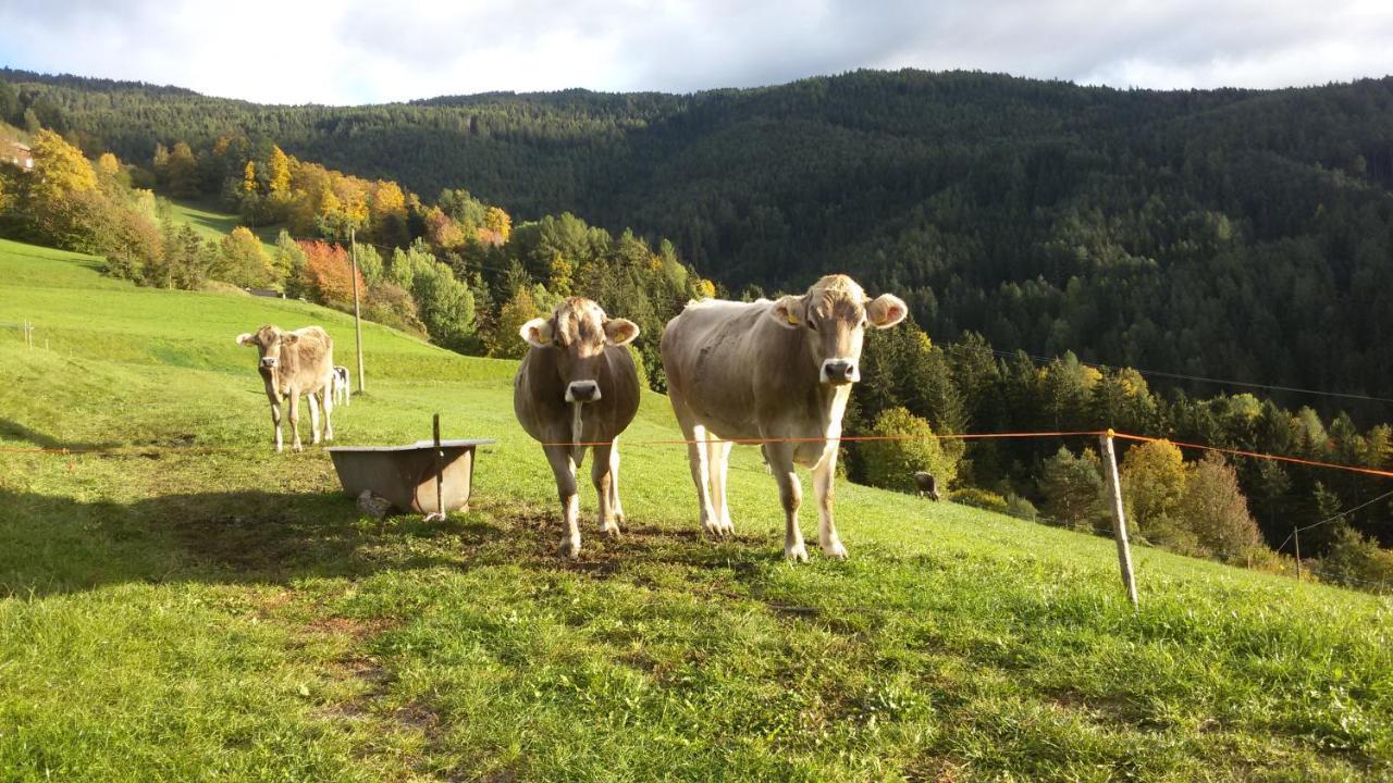 Proderhof Villa Laion Buitenkant foto